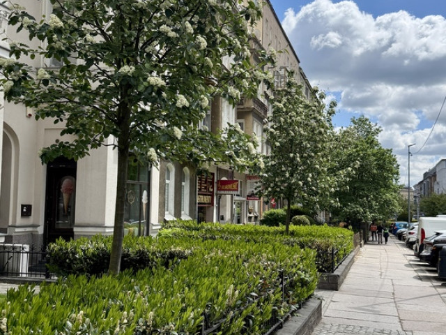 Mieszkanie Sprzedaż Szczecin Centrum Monte Cassino
