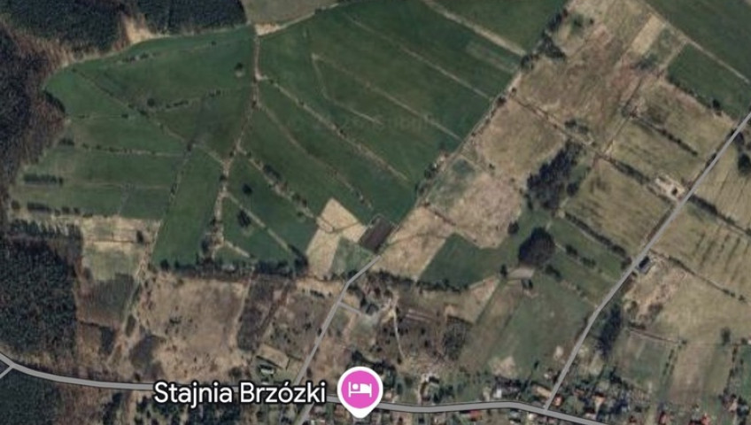 Działka Sprzedaż Brzózki