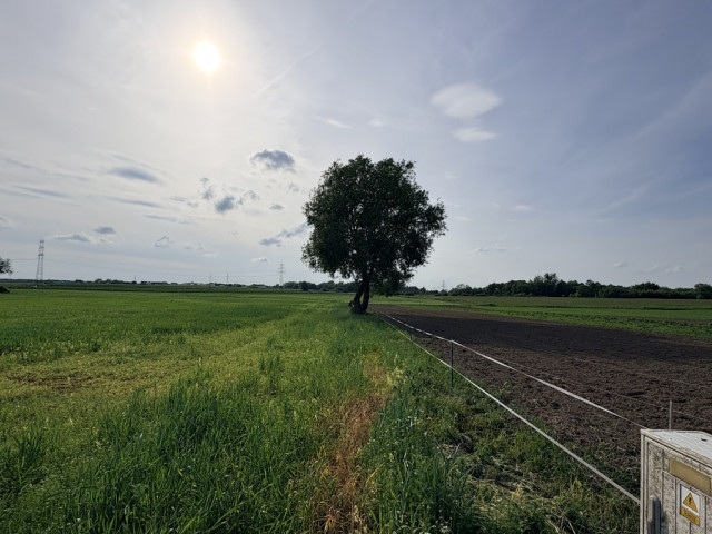 Działka Sprzedaż Przęsocin