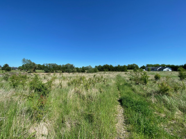 Działka Sprzedaż Dołuje