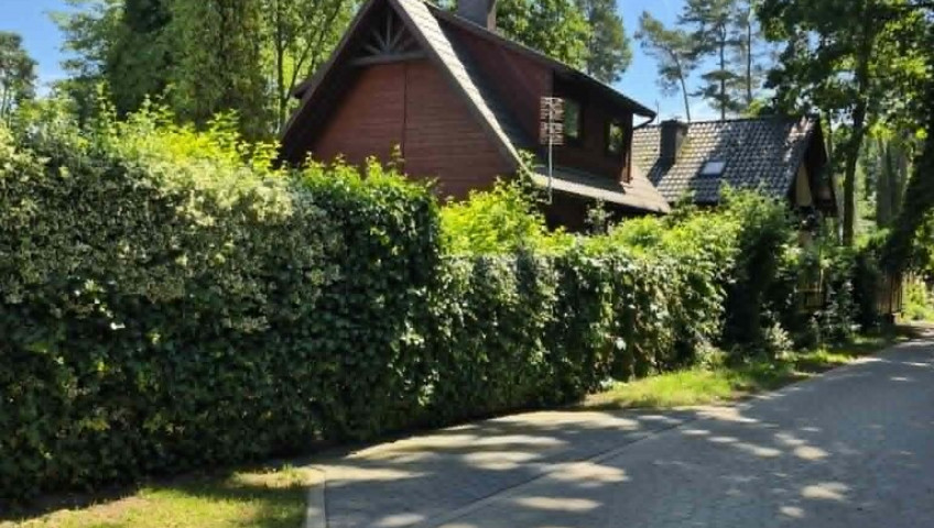 Dom Sprzedaż Morzyczyn Nad Miedwinką
