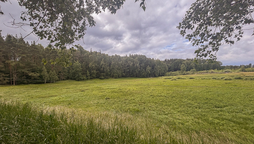 Działka Sprzedaż Piaseczno