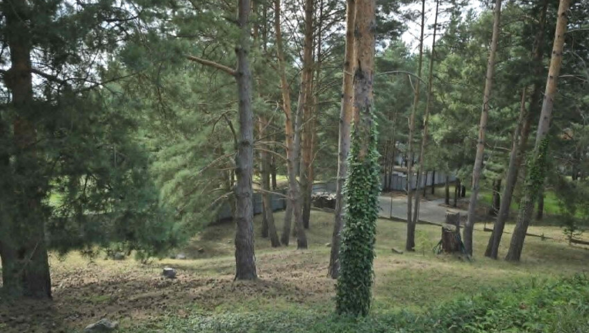 Dom Sprzedaż Pniewo Bukowa