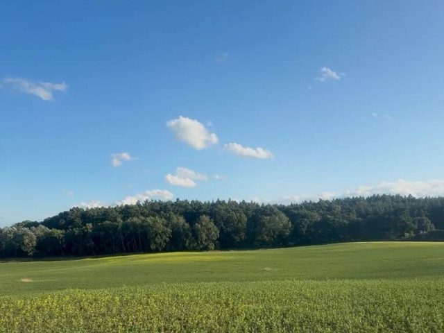 Działka Sprzedaż Buk