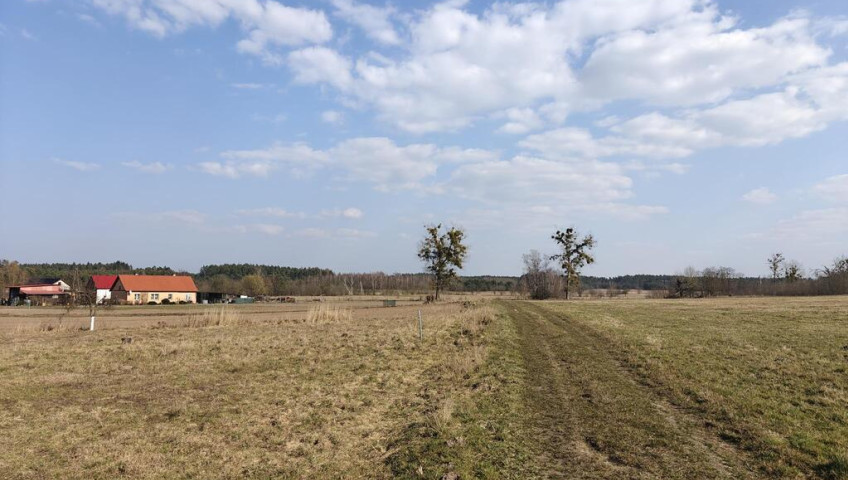 Działka Sprzedaż Stepnica