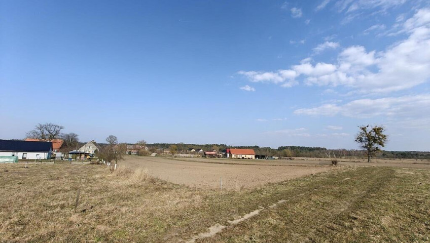 Działka Sprzedaż Stepnica