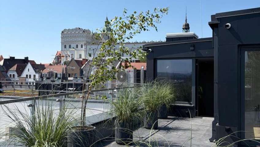 Lokal Wynajem Szczecin Stare Miasto Warzywna