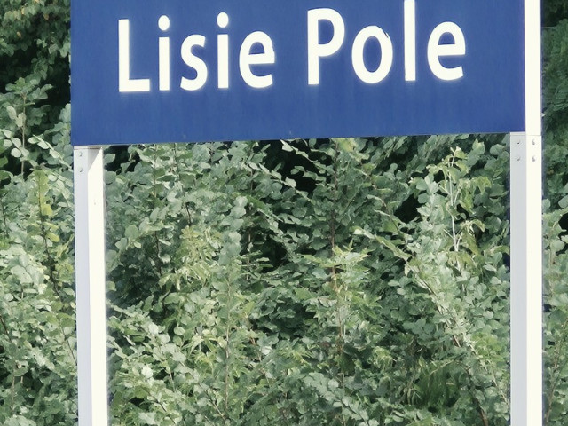 Dwurodzinny dom wolnostojący z przepiękną fasadą