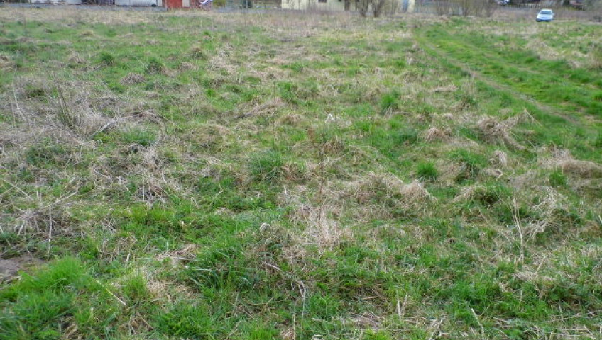 Działka Sprzedaż Brzózki