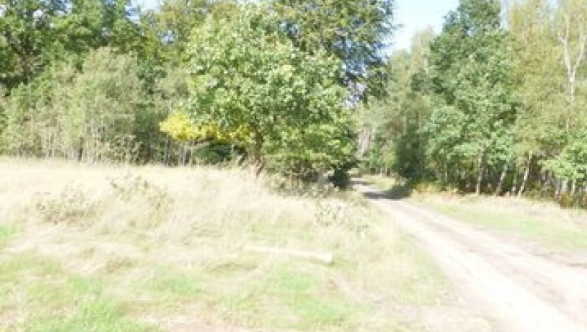 Działka Sprzedaż Grzepnica
