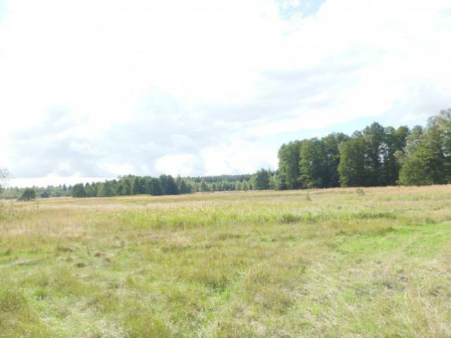Działka Sprzedaż Grzepnica