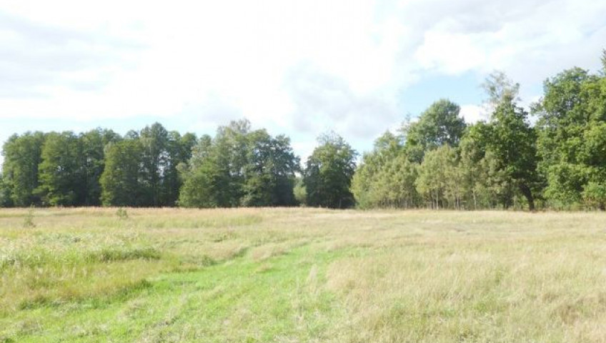 Działka Sprzedaż Grzepnica