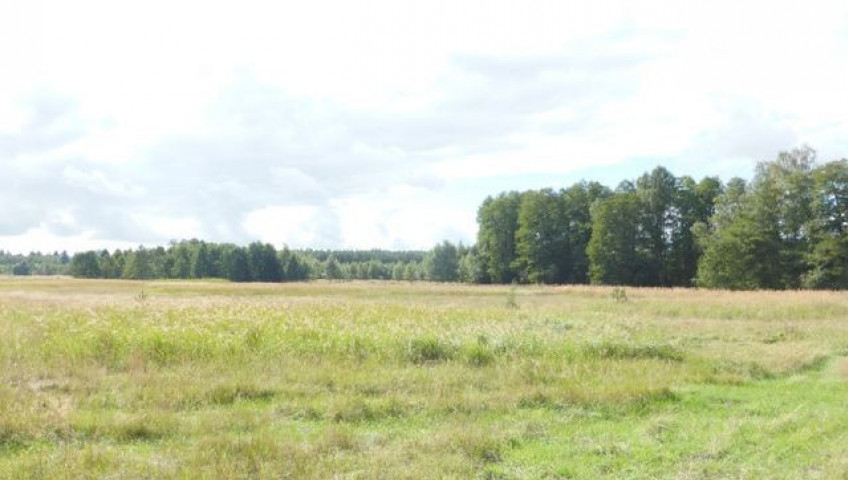 Działka Sprzedaż Grzepnica