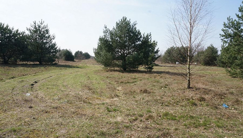 Działka Sprzedaż Rurzyca
