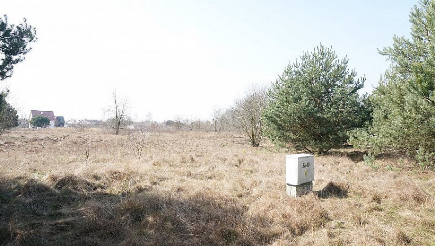 Działka Sprzedaż Rurzyca