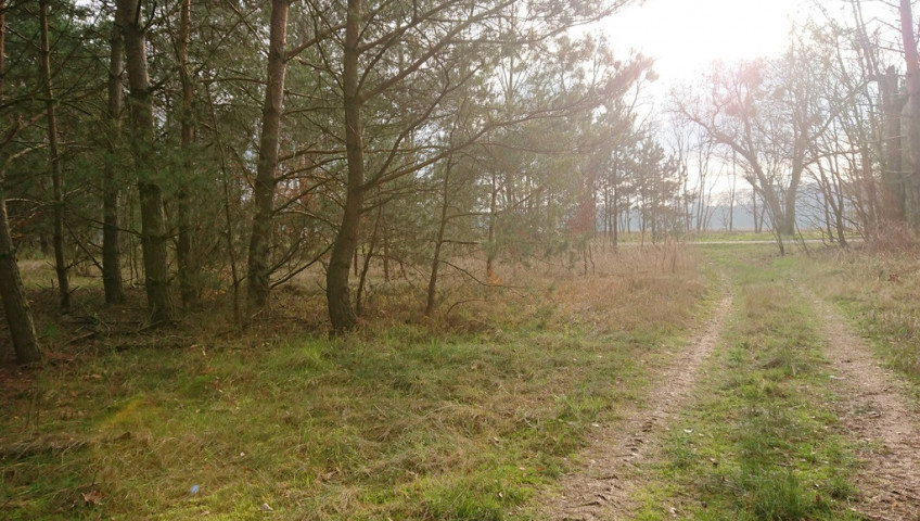 Działka Sprzedaż Starzyce
