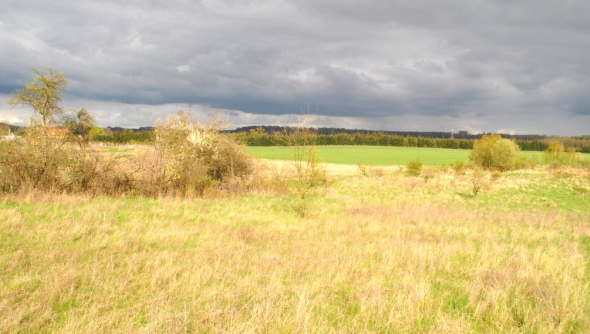 Działka Sprzedaż Binowo