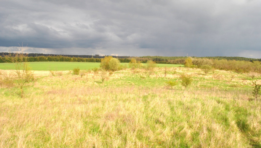 Działka Sprzedaż Binowo