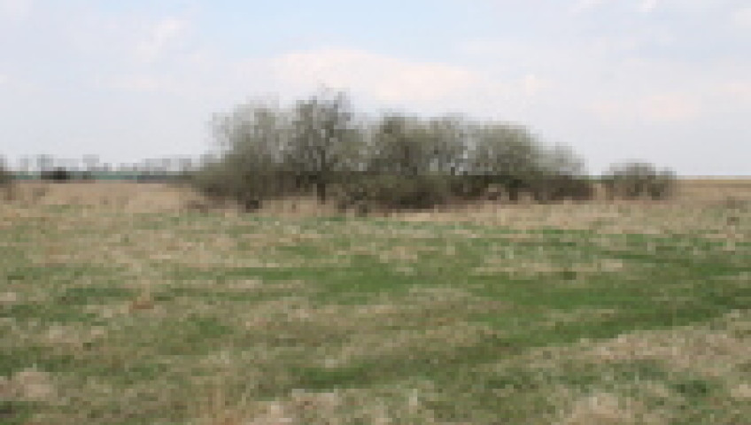 Działka Sprzedaż Barnisław