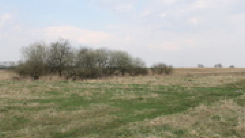 Działka Sprzedaż Barnisław