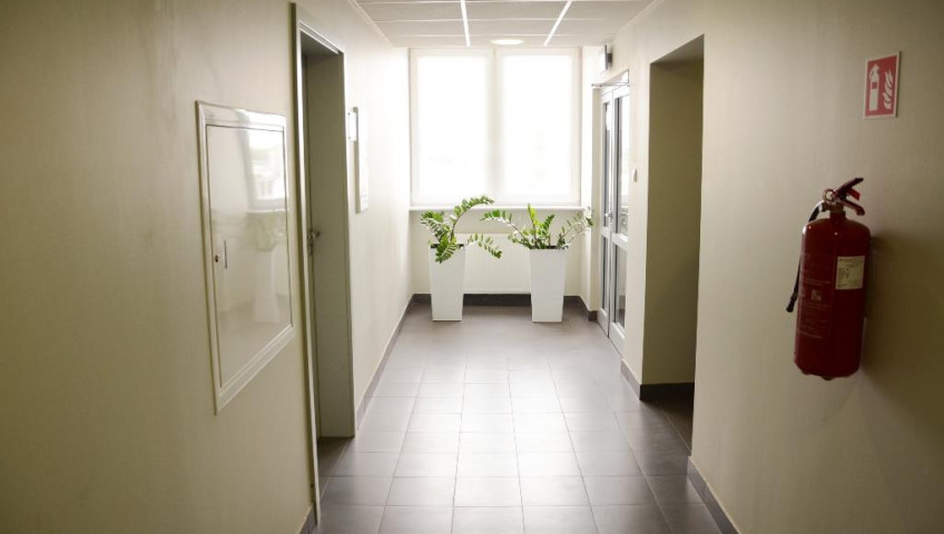 Lokal Wynajem Szczecin Śródmieście