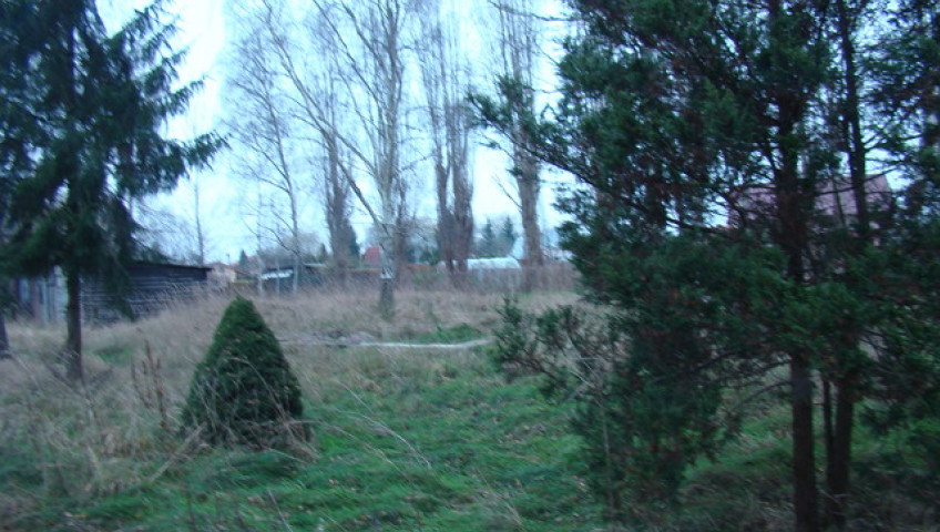 Działka Sprzedaż Pniewo