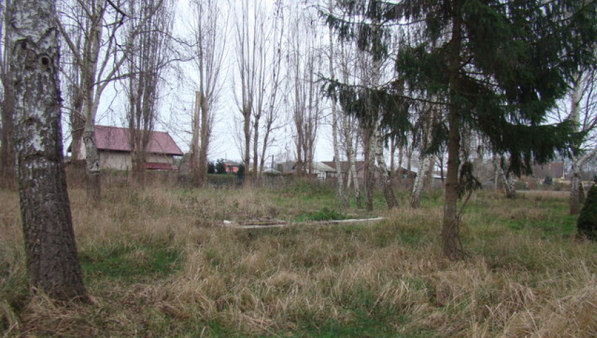 Działka Sprzedaż Pniewo