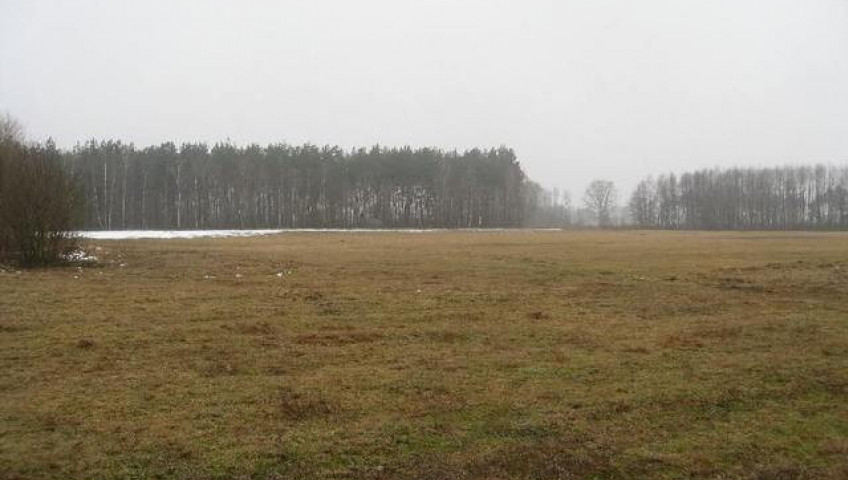 Działka Sprzedaż Stepnica