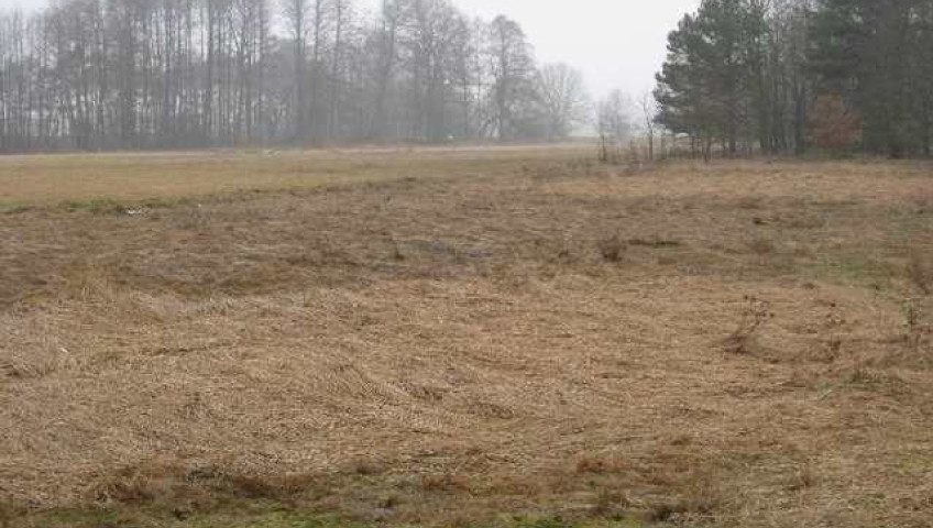 Działka Sprzedaż Stepnica