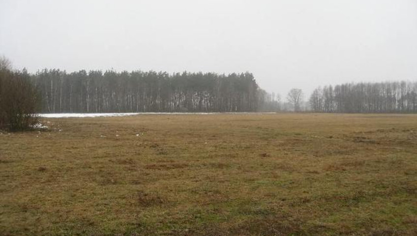 Działka Sprzedaż Stepnica