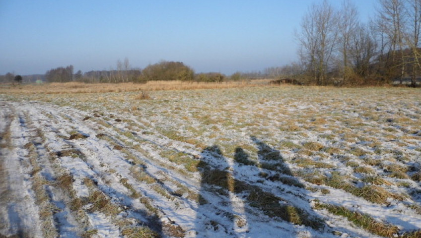 Działka Sprzedaż Brzózki