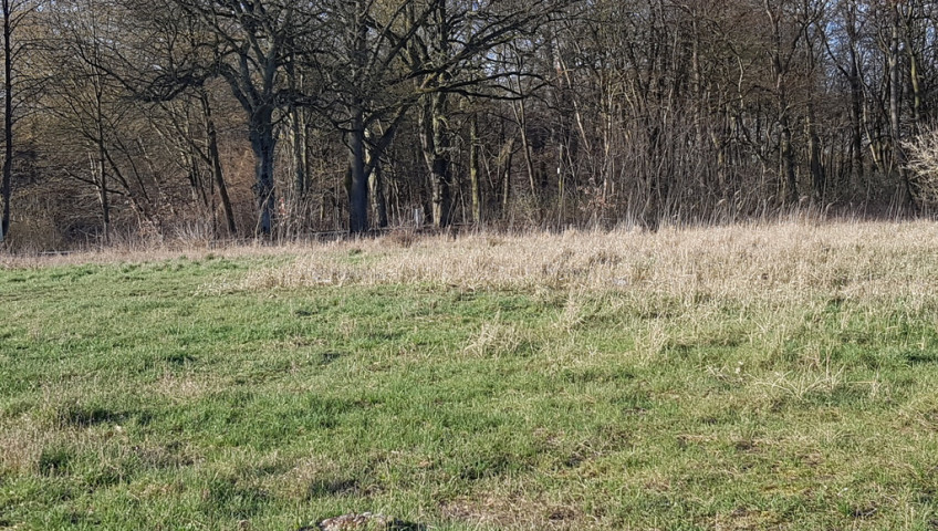 Działka Sprzedaż Kościno