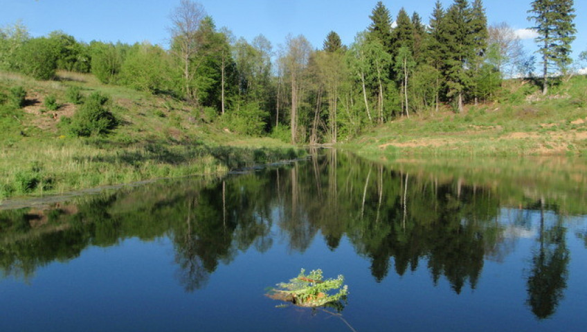 Działka Sprzedaż Bobolice