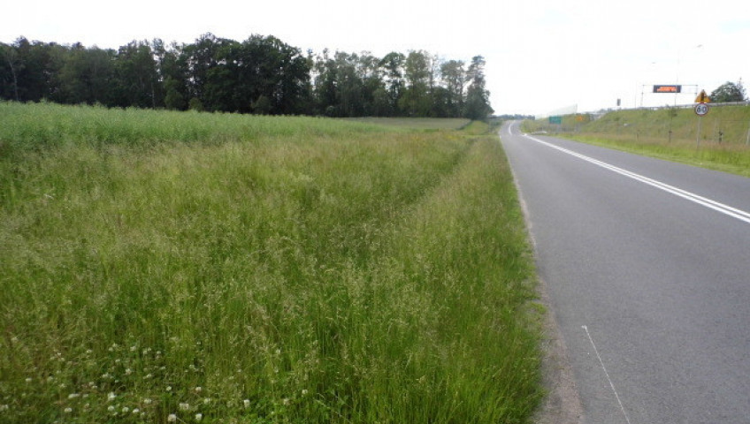 Działka Sprzedaż Olchowo