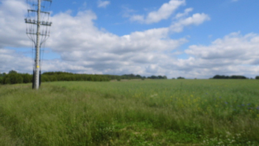 Działka Sprzedaż Olchowo