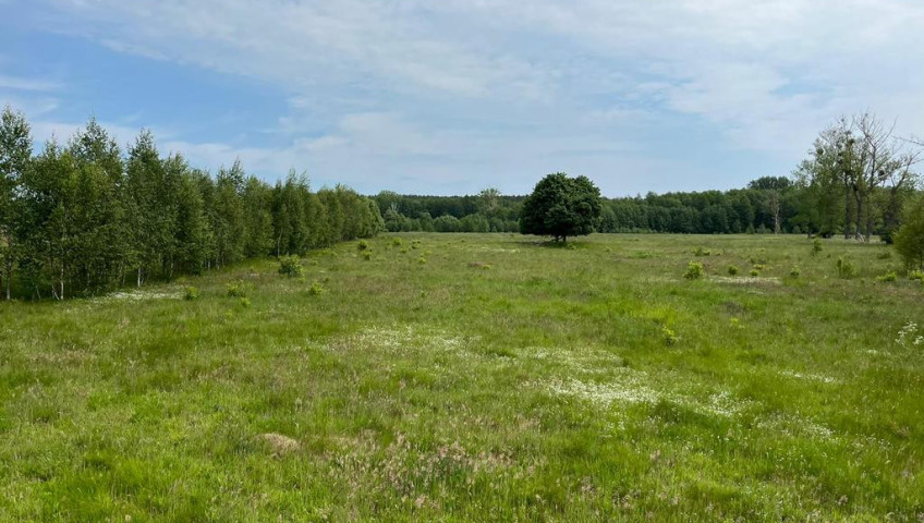 Działka Sprzedaż Żarowo