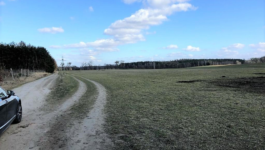 Działka Sprzedaż Sosnowice