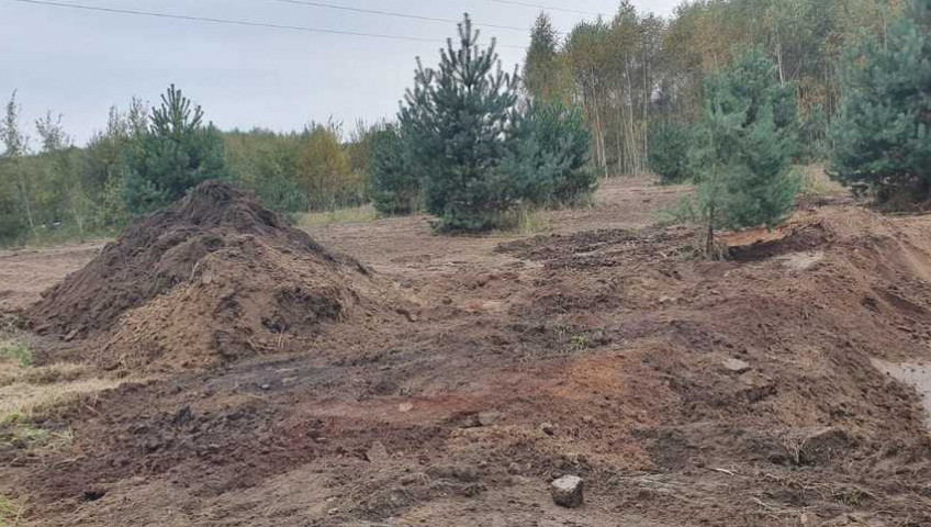 Działka Sprzedaż Borzyszewo