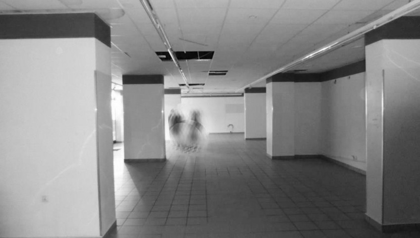 Lokal Wynajem Szczecin Centrum