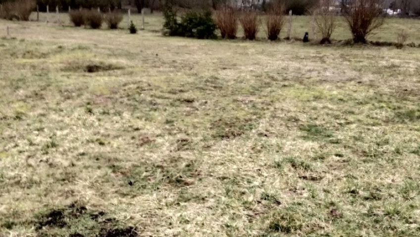 Działka Sprzedaż Rzędziny