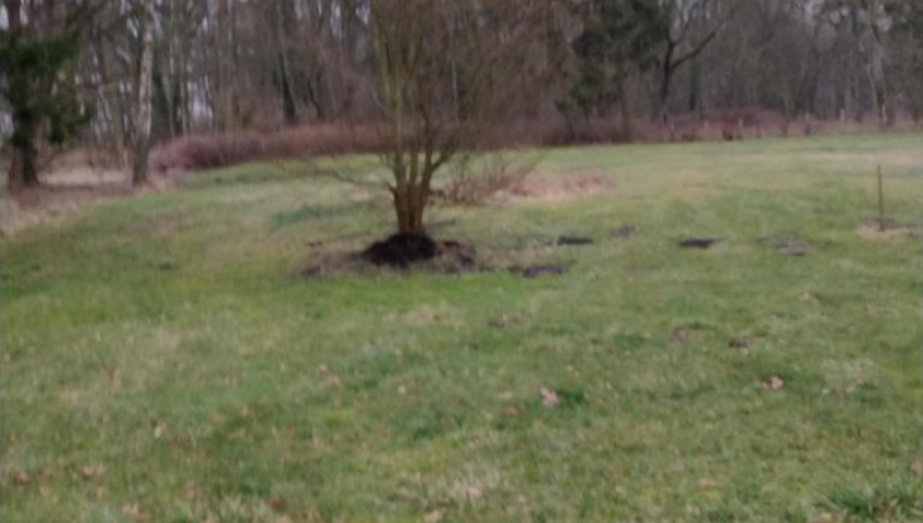 Działka Sprzedaż Rzędziny