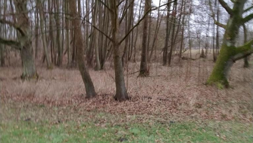 Działka Sprzedaż Rzędziny