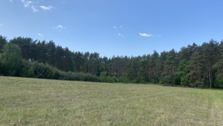 Działka Sprzedaż Przybiernów