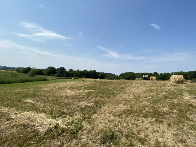 Działka Sprzedaż Glinna
