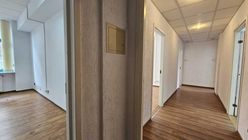 Lokal Wynajem Szczecin Centrum