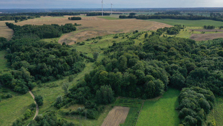 Działka Sprzedaż Prusinowo