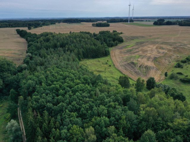 Działka Sprzedaż Prusinowo