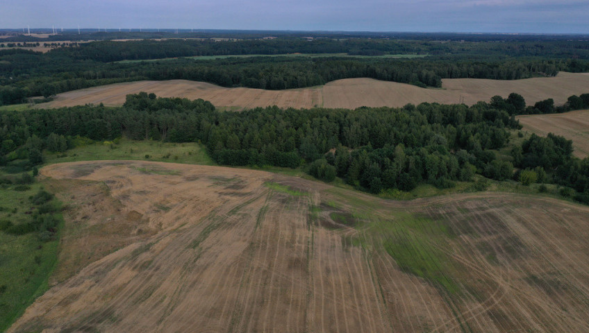 Działka Sprzedaż Prusinowo
