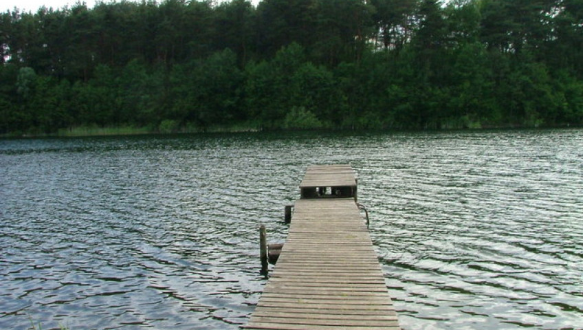 Działka Sprzedaż Żabin