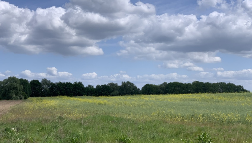 Działka Sprzedaż Stobno Pod Dębami